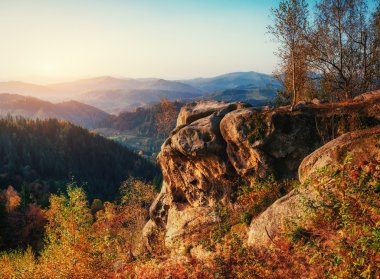 Orman yolu Güz. Sonbahar manzara. Ukrayna. Europe