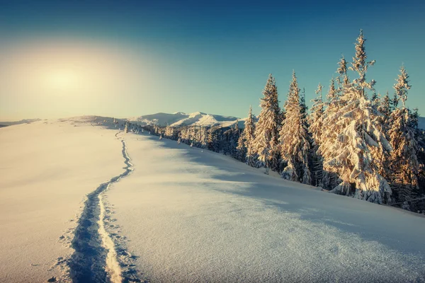 Traumhafte Winterlandschaft und ausgetretene Wege, die in die — Stockfoto