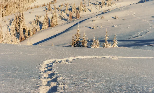 Fantastico paesaggio invernale e sentieri calpestati che conducono nel — Foto Stock