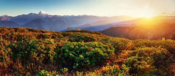 가 풍경 그리고 덮인 산봉우리입니다. Mou의 보기 — 스톡 사진