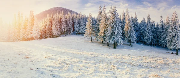 Winterlandschaft, die vom Sonnenlicht erleuchtet wird. Dramatische winterliche Szene. Auto — Stockfoto