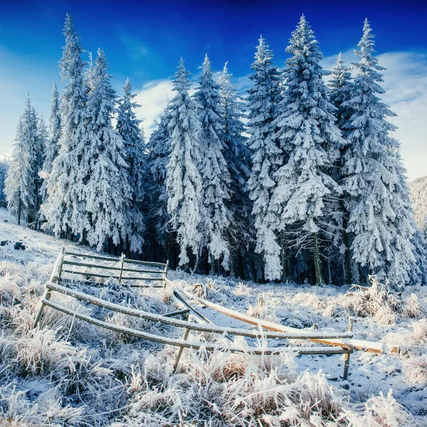 Paesaggio invernale illuminato dalla luce del sole. Drammatica scena invernale. Auto. — Foto Stock