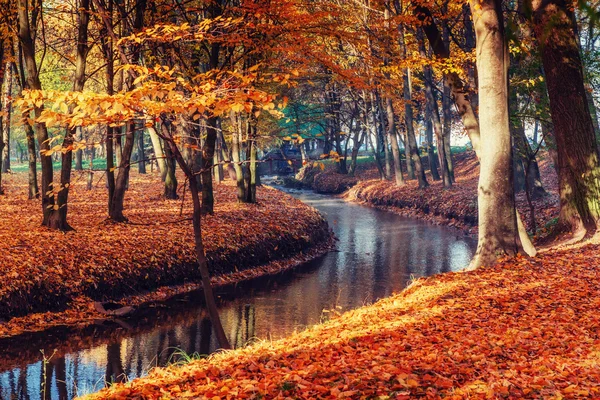 Caminhe a ponte da maneira sobre o rio com árvores coloridas na hora do outono — Fotografia de Stock