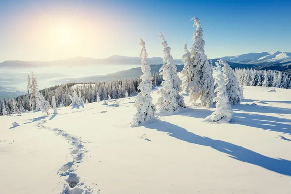 Fantástica paisagem de inverno e caminhos pisoteados ao pôr do sol que lea — Fotografia de Stock