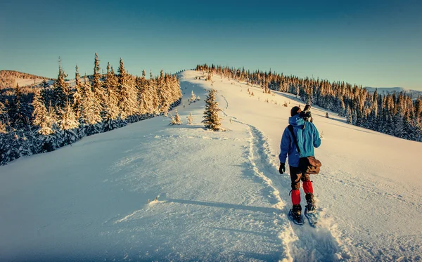 Touristen sind im Winter in den Bergen. Karpaten, Ukraine, Europa — Stockfoto