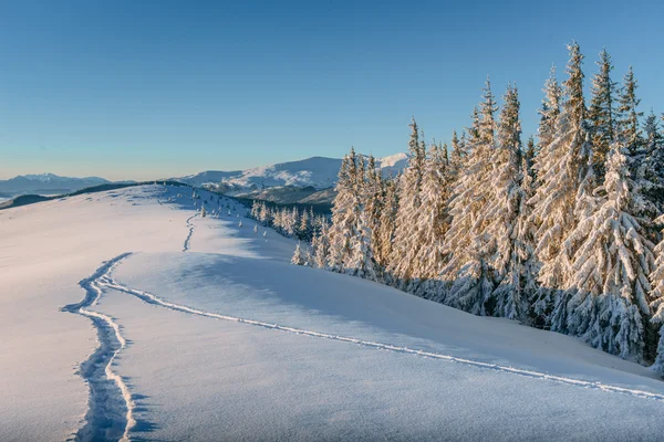 Fantástico paisaje invernal y senderos pisados que conducen a la —  Fotos de Stock