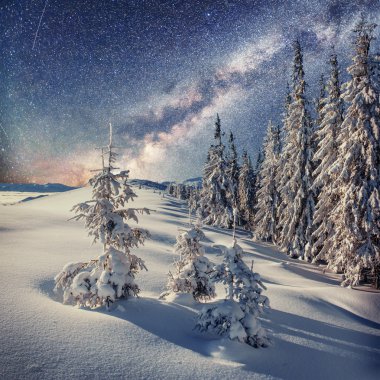 Kış ormanda süt uzay yolu. Karpatlar, Ukrayna, Europ