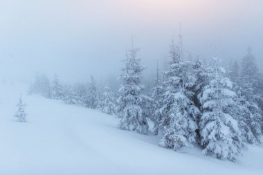 Kış Dağları'nda sis. Fantastik günbatımı