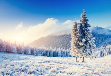 Dağlarda fantastik kış peyzaj. Gün batımı. Anticipa içinde