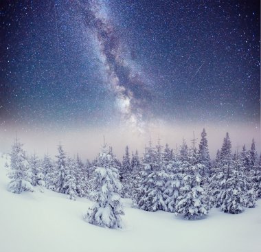 Kış ormanda süt uzay yolu. Karpatlar, Ukrayna, Europ