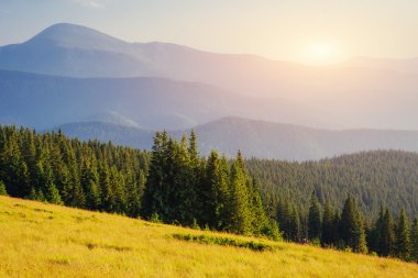 Dağların üzerinden sis. Karpatlar. Ukrayna. Europe