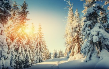 Kış yol. Karpat, Ukrayna, Europe.