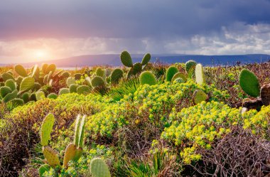 Deniz ve Cape Milazzo. İtalya.