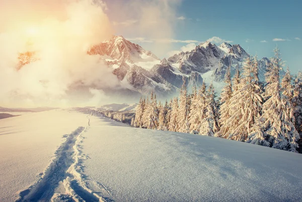 Fantástico paisaje invernal y senderos pisados que conducen a la — Foto de Stock
