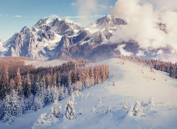 Záhadné Zimní krajina majestátní hory v zimě. Magie — Stock fotografie