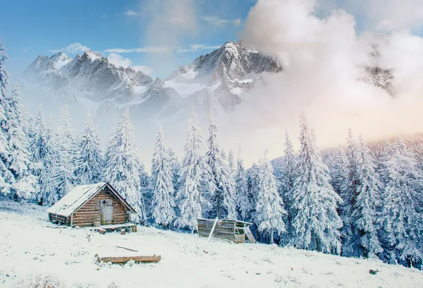 Cabine in de bergen in de winter. Mysterieuze mist. In anticipatio — Stockfoto