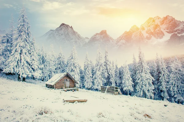 Hütte in den Bergen im Winter. Geheimnisvoller Nebel. im Vorgriff — Stockfoto