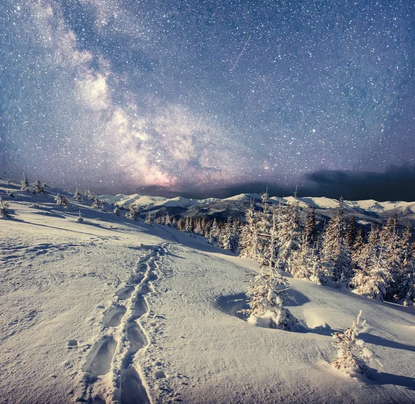 冬の雪の夜の星空を。幻想的な天の川で新 — ストック写真