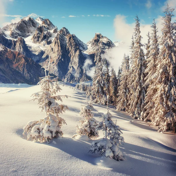 神秘的冬天冬季景观雄伟的山脉。魔术 — 图库照片