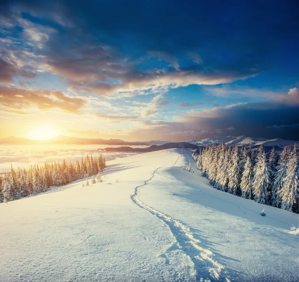 Fantastické zimní krajiny a prošlapaná stezek, které vedou do — Stock fotografie