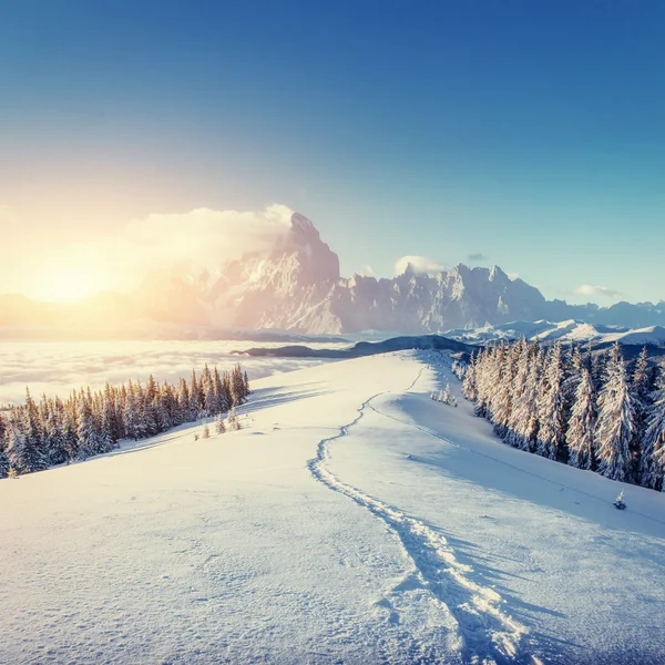 Fantástico paisaje invernal y senderos pisados que conducen a la — Foto de Stock