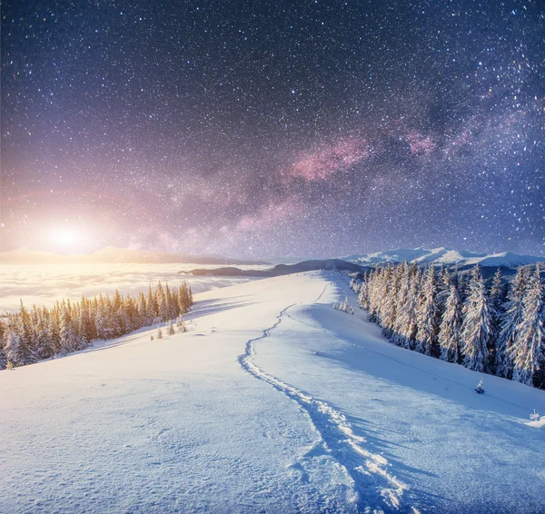 Cielo estrellado en invierno noche nevada. fantástica vía láctea en la Nueva — Foto de Stock