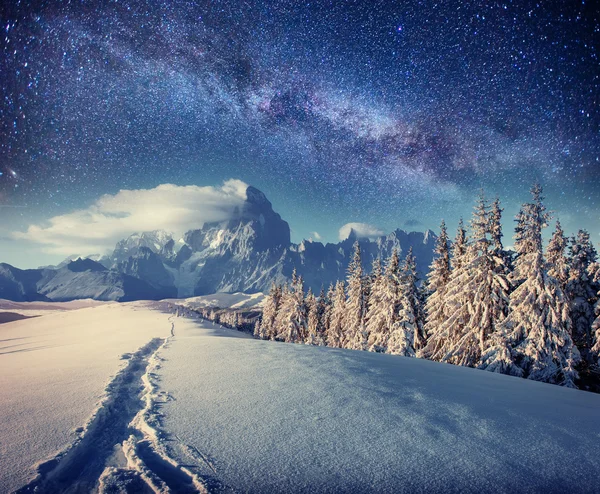 Céu estrelado no inverno noite nevada. maneira leitosa fantástica no Novo — Fotografia de Stock