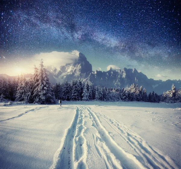 Céu estrelado no inverno noite nevada. maneira leitosa fantástica no Novo — Fotografia de Stock