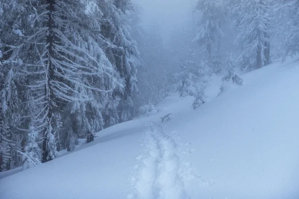 Paysage hivernal fantastique et sentiers piétons qui mènent à la — Photo