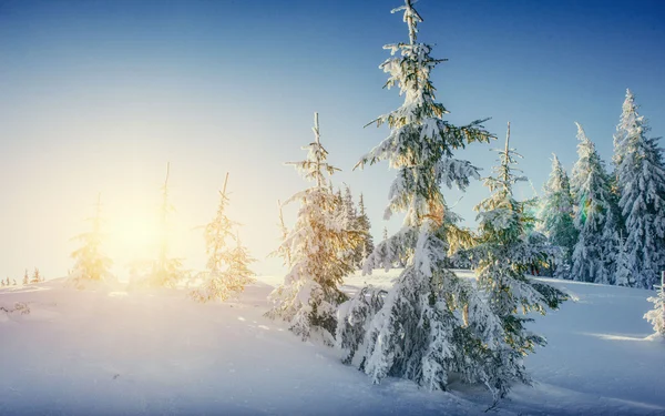 Fantástico paisaje invernal en las montañas. Puesta de sol. En anticipación — Foto de Stock