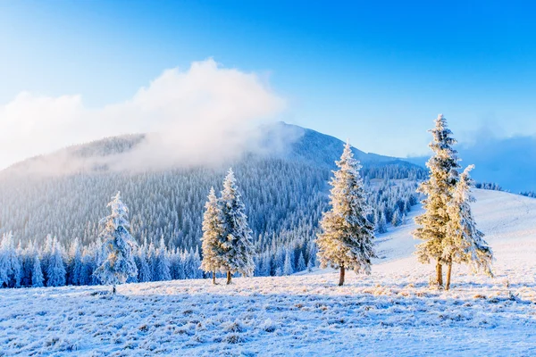 Fantástica paisagem de inverno nas montanhas. Pôr do sol. Em antecipação — Fotografia de Stock