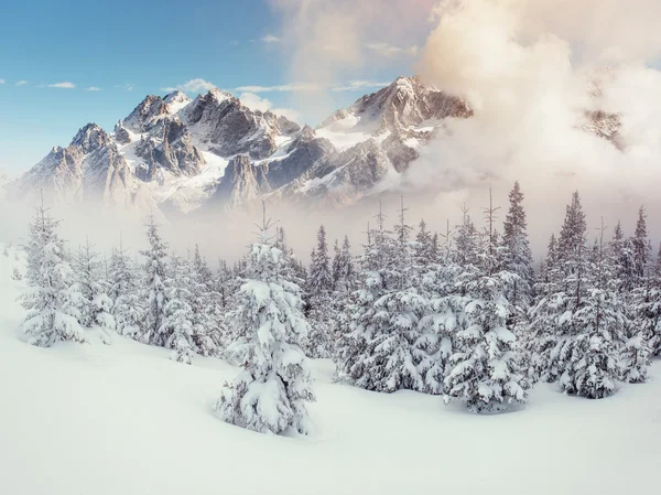 Záhadné Zimní krajina majestátní hory v zimě. Magica — Stock fotografie