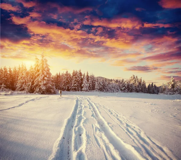 Winter weg. Mooie kleur high-res afbeelding met een e — Stockfoto