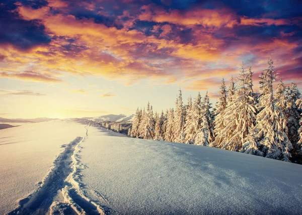 Estrada de inverno. Bela cor de alta resolução ilustração com um holida — Fotografia de Stock