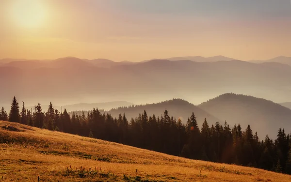 Brouillard sur les montagnes. Carpates. Ukraine. Europe — Photo