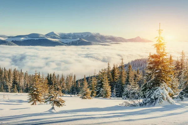 Niebla en las montañas de invierno. Puesta de sol fantástica —  Fotos de Stock