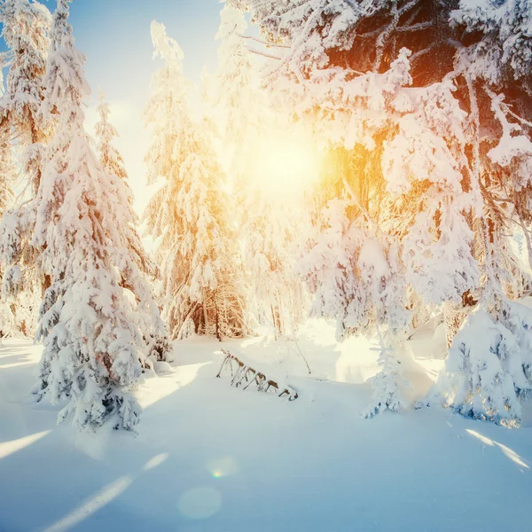 Winter landscape glowing by sunlight. Dramatic wintry scene. Car — Stock Photo, Image