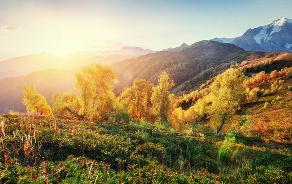 Herfst landschap en besneeuwde bergtoppen. Weergave van het mou — Stockfoto