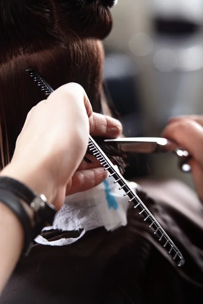 Cuidado do cabelo no salão de beleza moderno — Fotografia de Stock