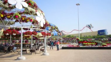 Dubai mucize Garden çiçek