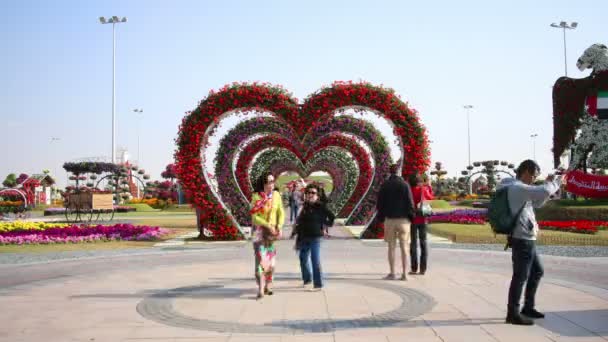 Blühende Herzen im dubai miracle garden — Stockvideo