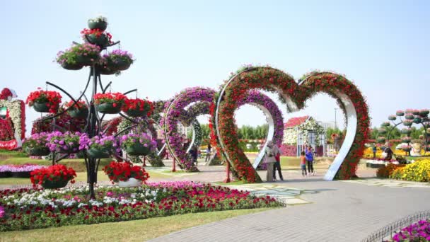 Corazones florecientes en Dubai milagro jardín — Vídeos de Stock