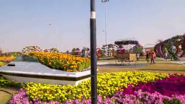 Blumen im dubai miracle garden — Stockvideo