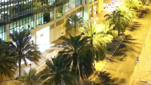 Dubai Nachtstraße — Stockvideo