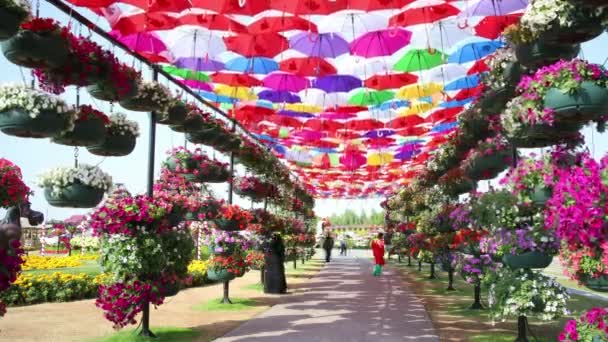 ดอกไม้ที่สวนปาฏิหาริย์ดูไบ — วีดีโอสต็อก
