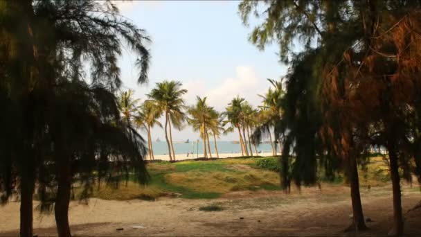 Зеленый парк и пляж в Дубае — стоковое видео