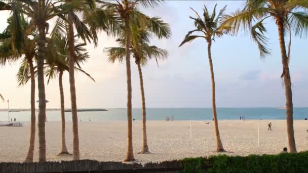 Пляж в городе Дубай — стоковое видео