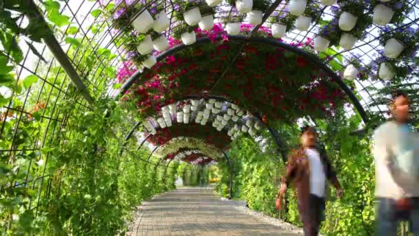 Dubai mucize Bahçe çiçek yola — Stok video