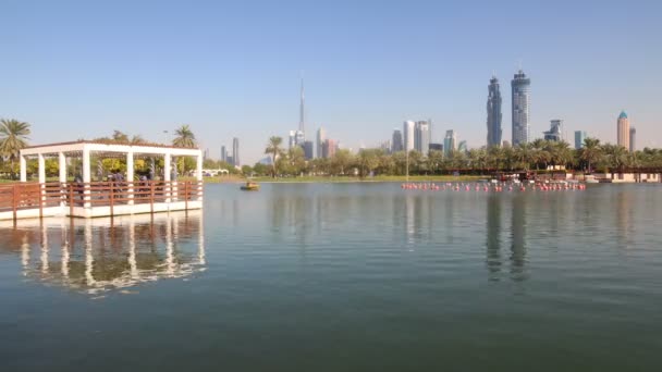 Lake in park in Dubai city — Stock Video