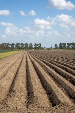 İlkbaharda ekin ekmeye hazırlanan tarlada kürek deseni. Bakış açısında dikey görünüm.